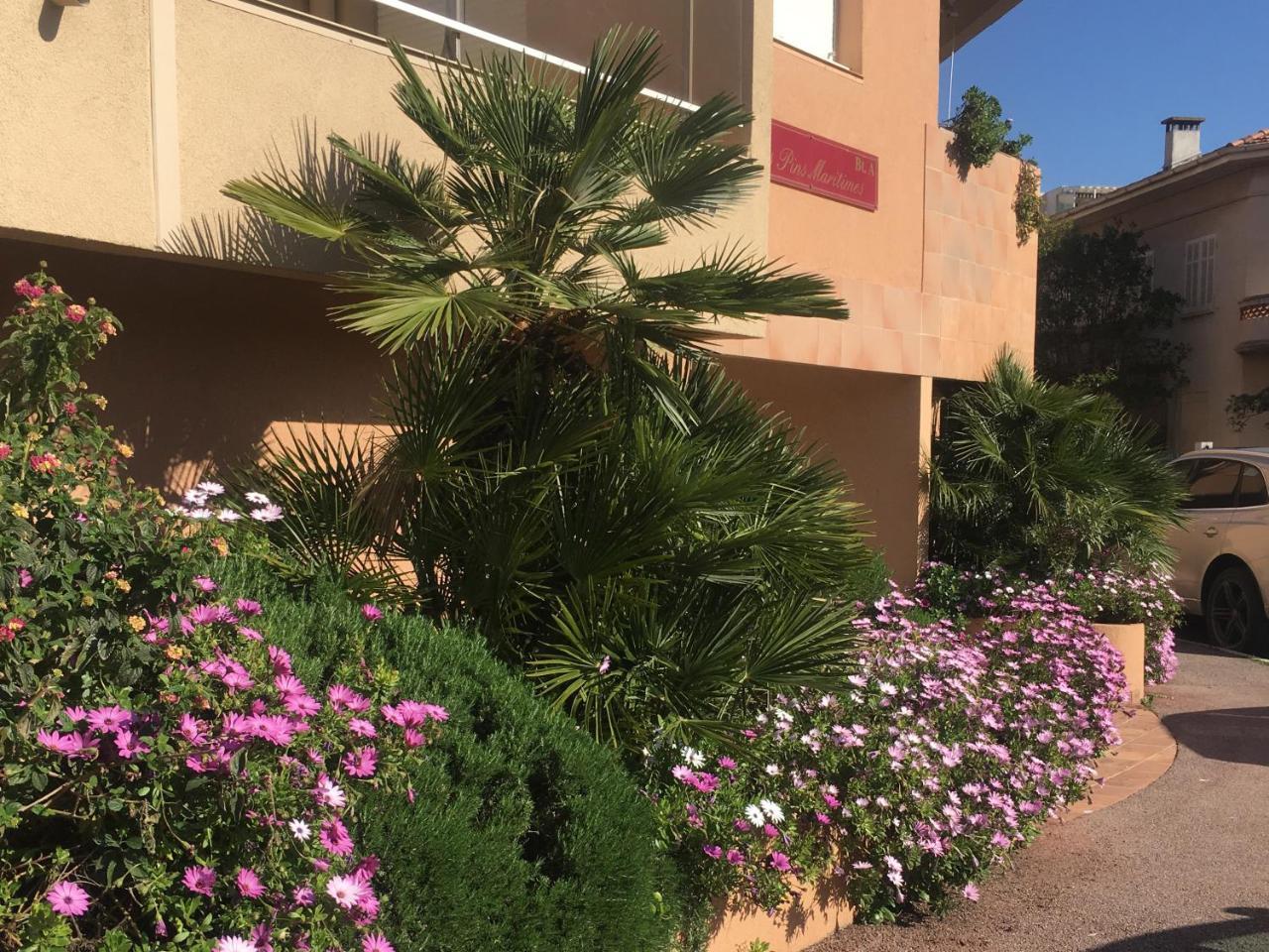 Les Pins Maritimes Fréjus Exterior foto